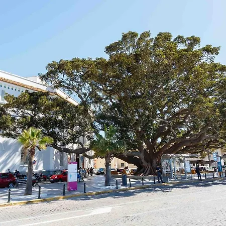 El Tesoro De La Caleta By Cadiz4rentals * Kadyks